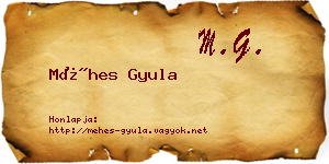 Méhes Gyula névjegykártya